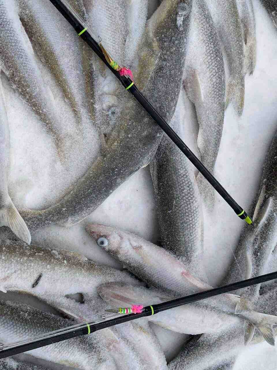 Блесна Гусеница большая UV 2,7 см