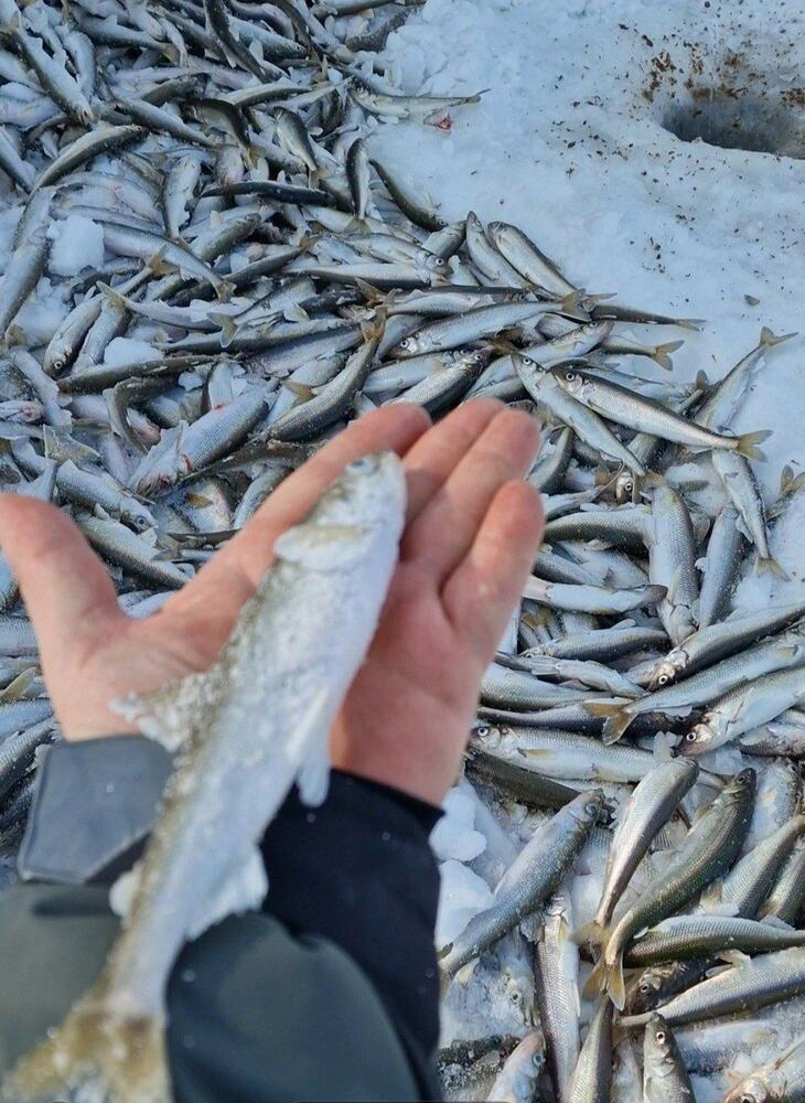 Блесна Гусеница большая UV 2,7 см