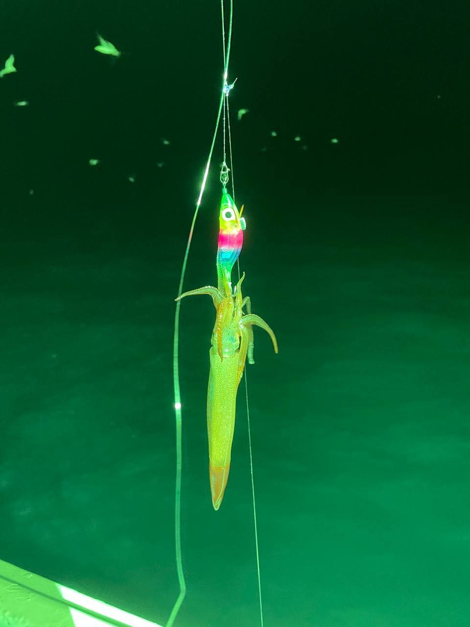 Кальмарница Candy Fish (NEW)