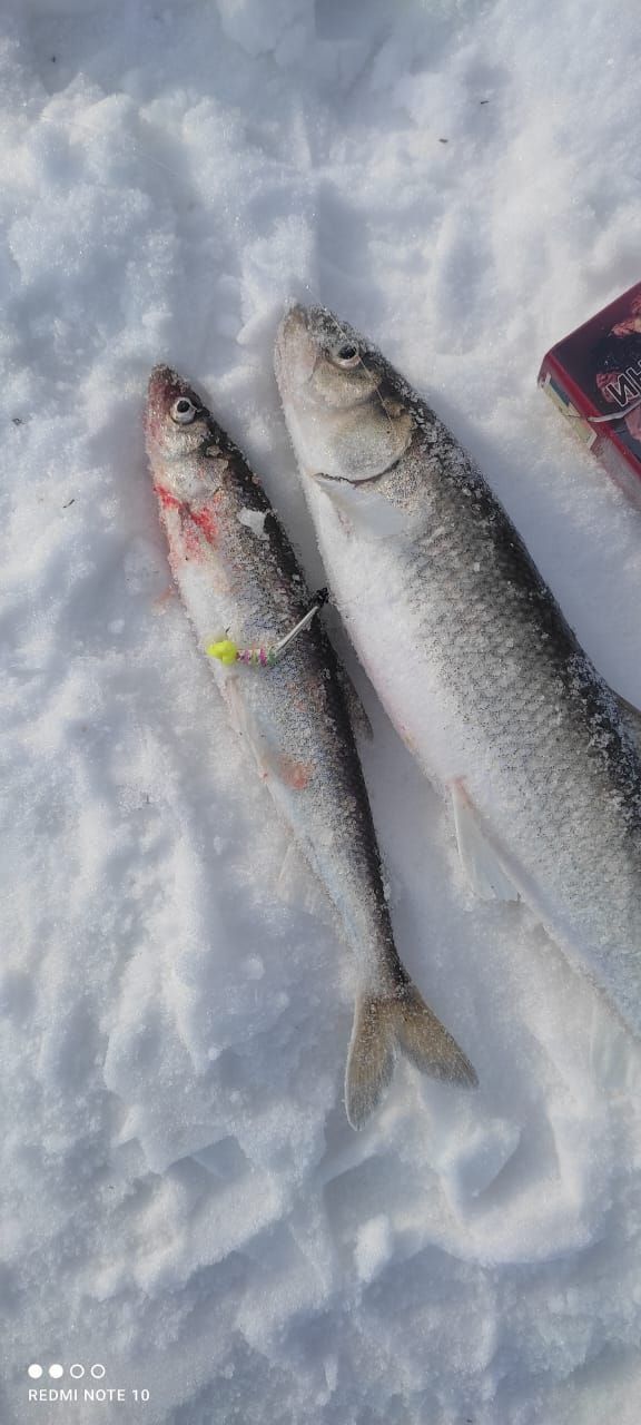 Блесна Гусеница большая UV 2,7 см