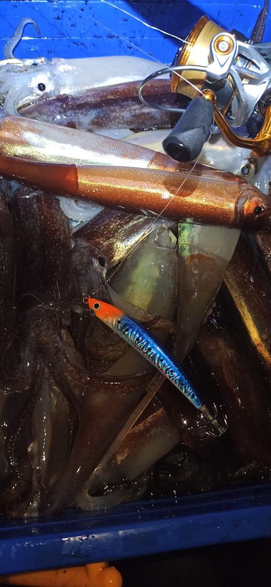 Кальмарный воблер Anchovy 15 гр / 22,5 гр