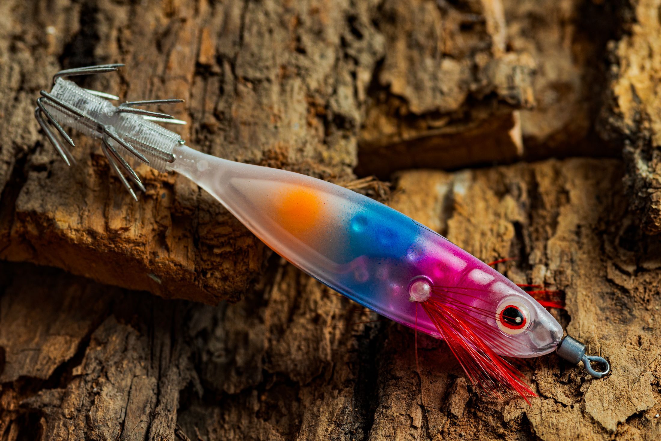 Кальмарница Rainbow Fish (old)