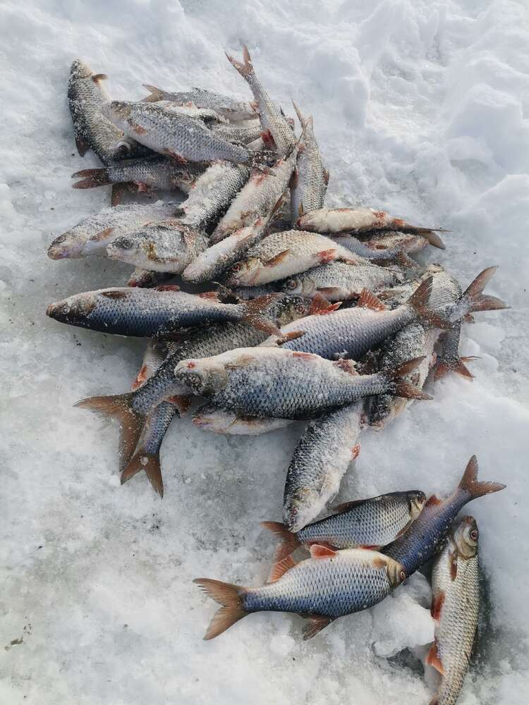 Блесна Охотник-мормышка
