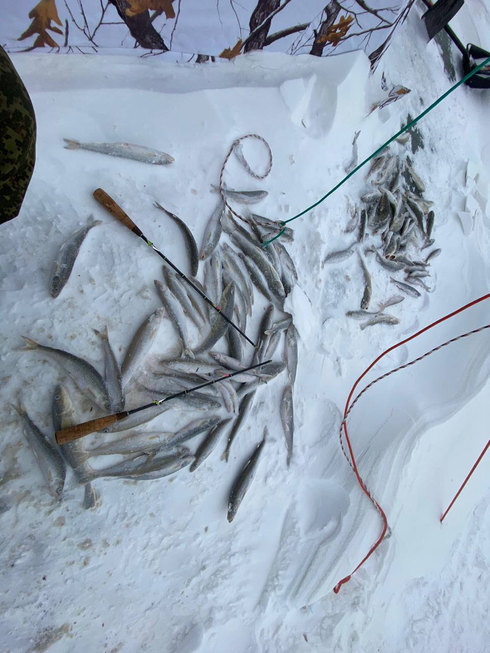 Блесна Гусеница большая UV 2,7 см