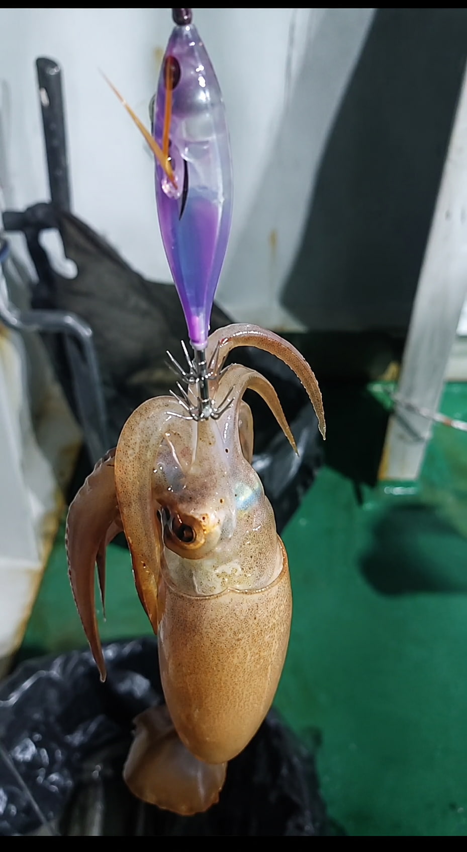 Кальмарница Marlin