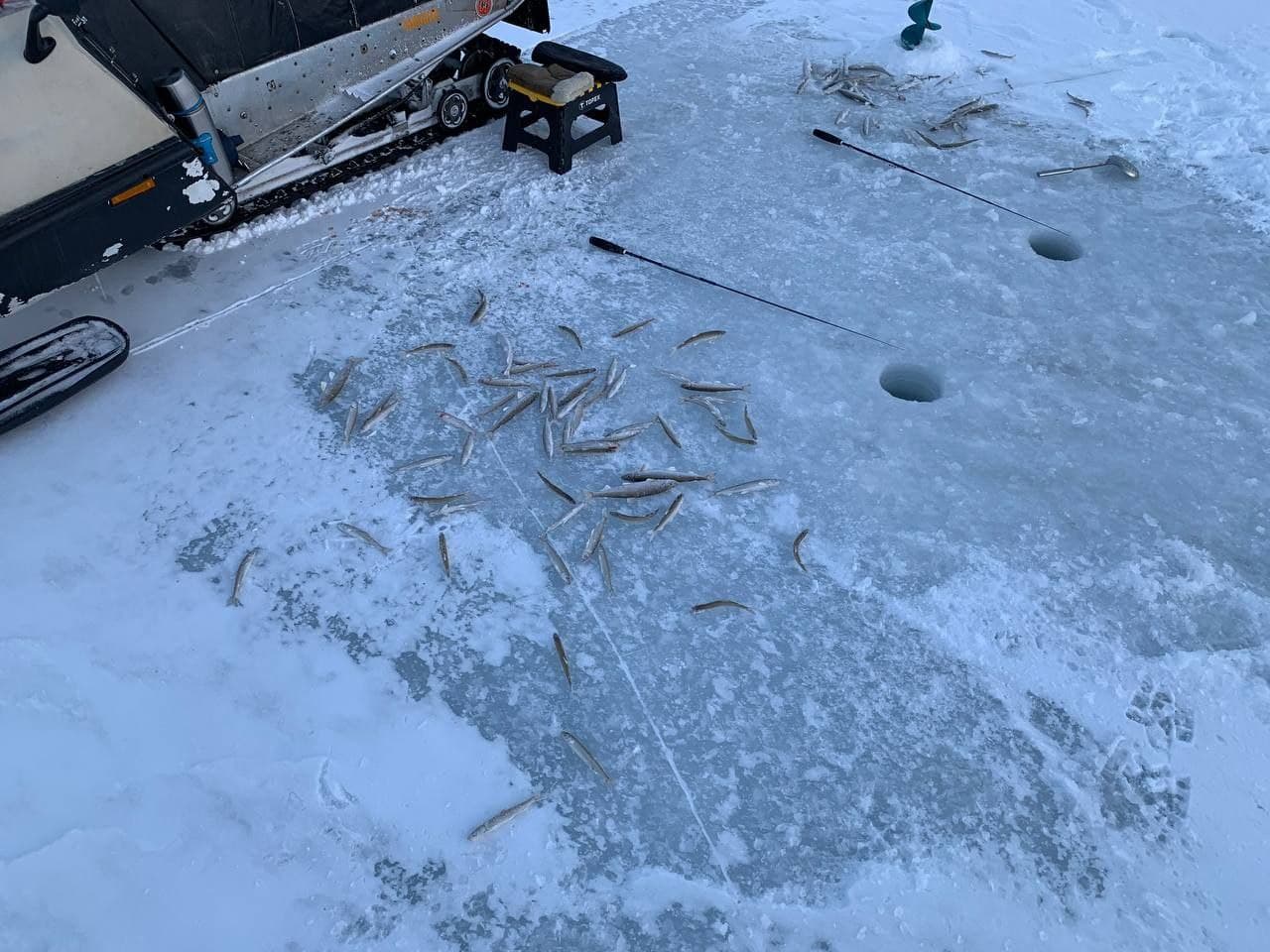 Блесна Палладис 1 см