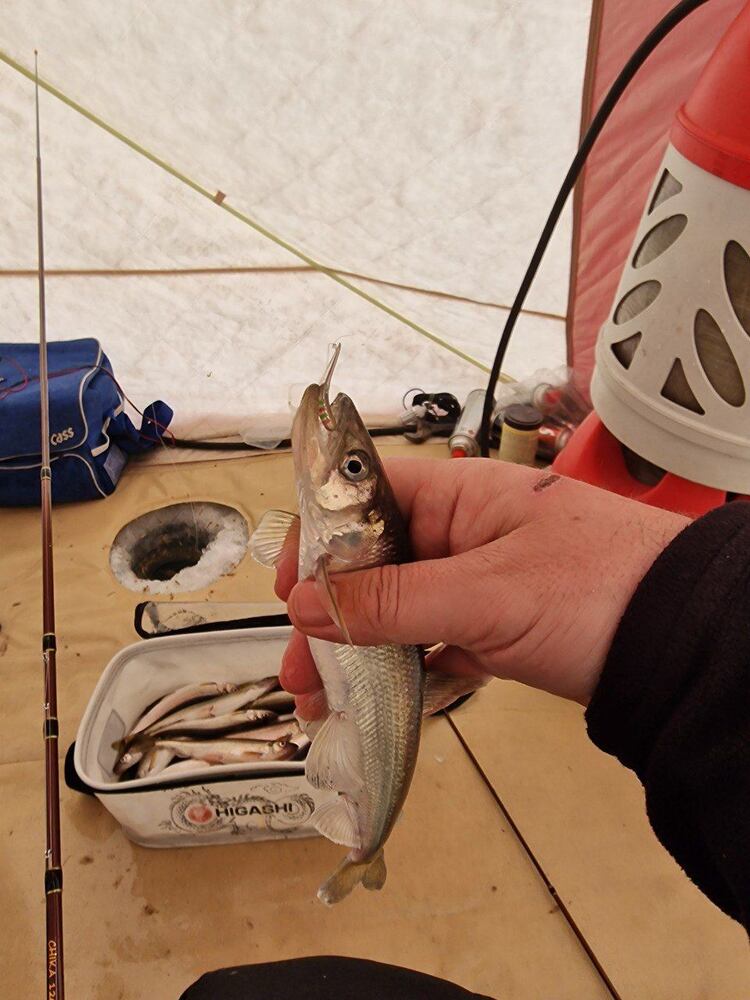 Блесна Гусеница большая UV 2,7 см