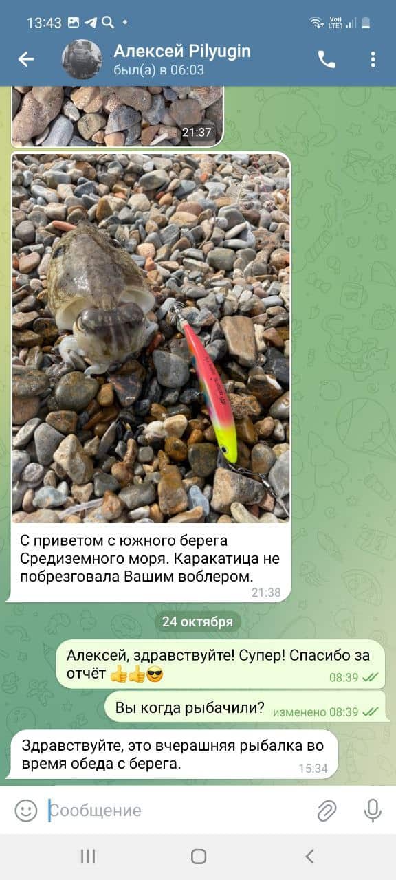 Кальмарный воблер RAINBOW Y 17 гр