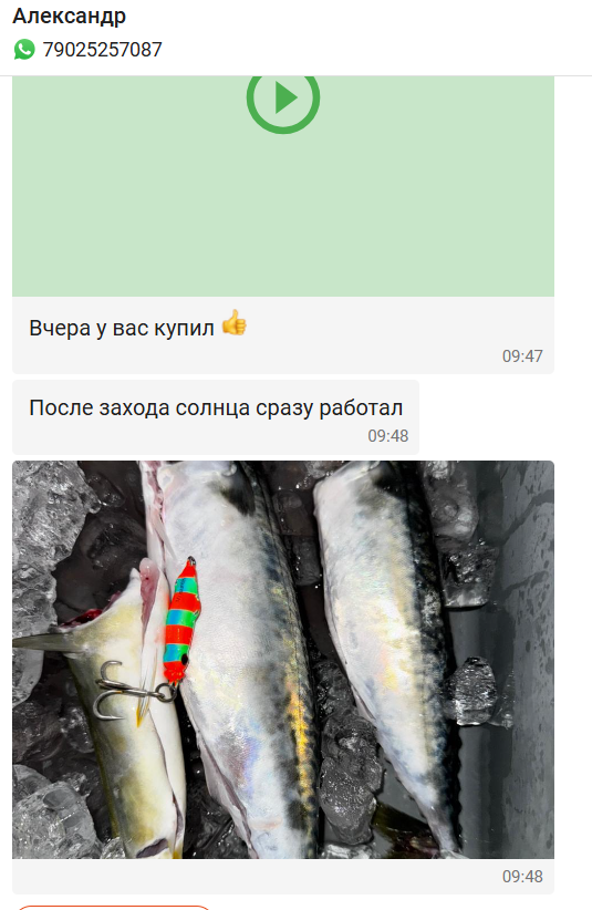 Набор из 10 булеров на скумбрию