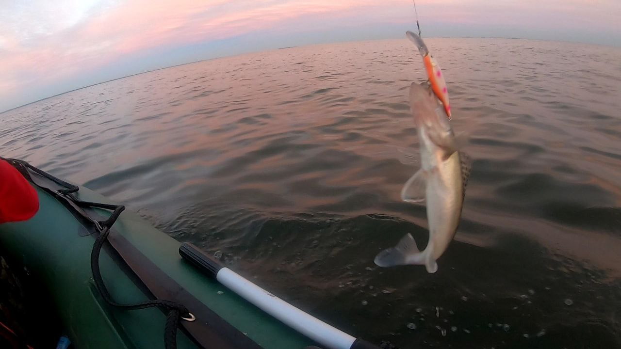Набор из 7 воблеров 80 мм 11 гр