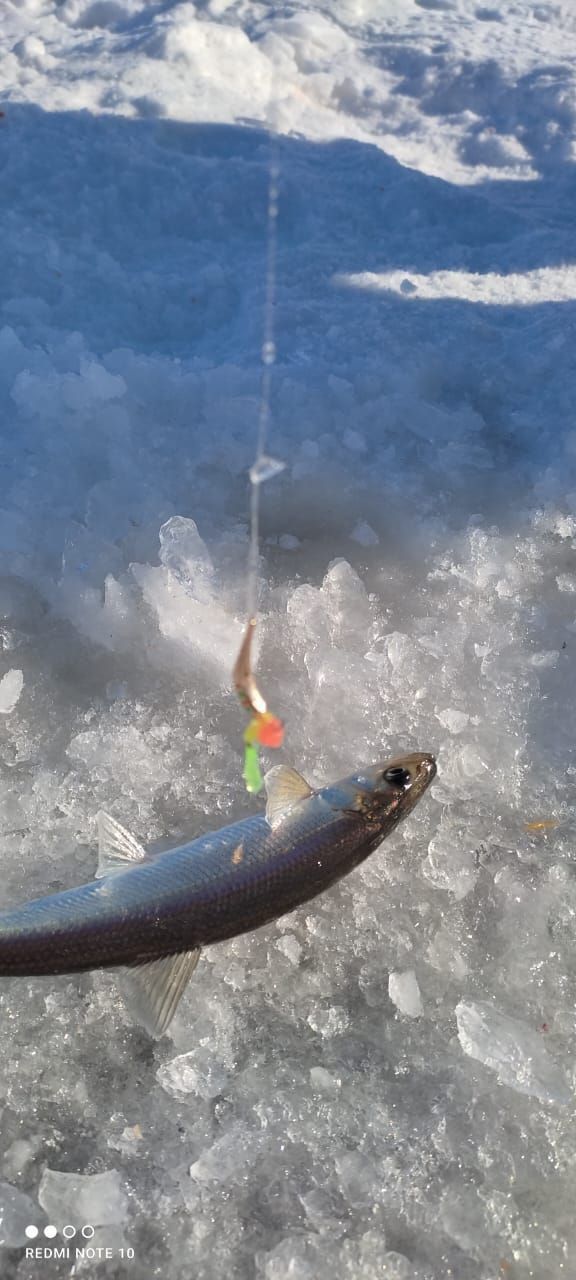 Блесна Гусеница большая UV 2,7 см