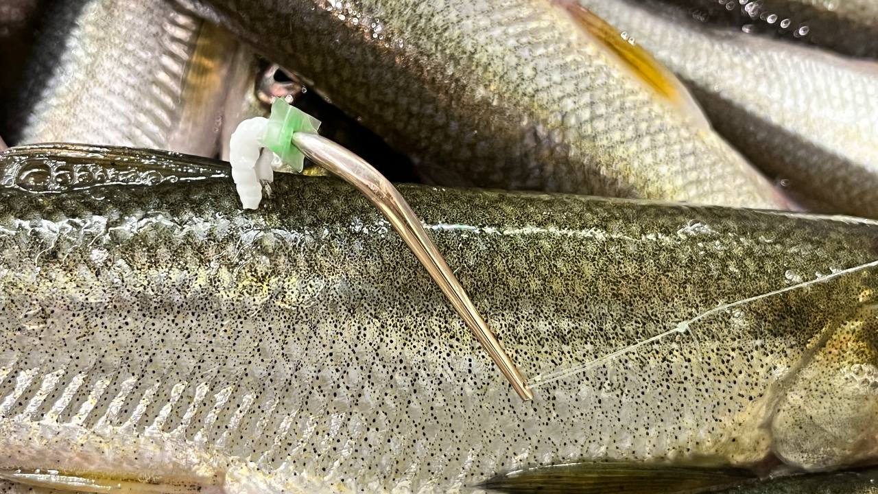 Блесна Андромеда (золото 18 карат)