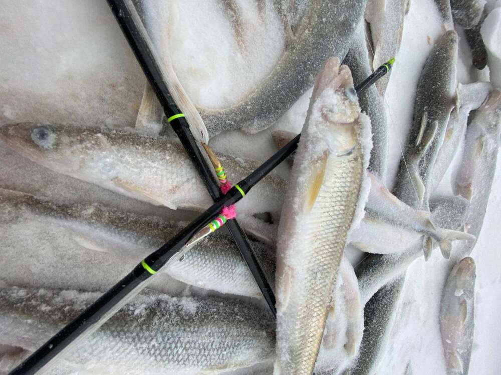 Блесна Гусеница большая UV 2,7 см